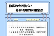 如何正确给萌宠萨摩耶染毛（注意事项、流程步骤、须知小窍门）