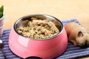 狗狗怀孕后期的饮食需注意什么？