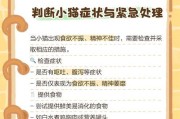 幼猫不吃不喝多久会死的原因及对策（幼猫的生存危机和救治方法）