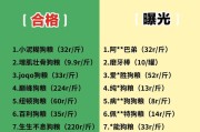 狗狗喂食的七大禁忌及如何选择优质狗粮（保护狗狗健康，从饮食做起）