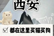西安买狗宠物指南（西安市场繁多，如何找到适合你的宠物？）