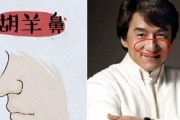 鼻子鼻梁的意义（探究鼻子鼻梁在各个方面的象征意义与影响）