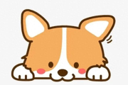 【夏日保命！】狗狗中暑黄金5分钟急救，错过可能致命
