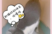 猫咪何时开始使用猫砂？（揭开猫砂使用的神秘面纱）
