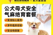 公犬绝育的益处（为你的宠物犬绝育，让它更健康和平衡）