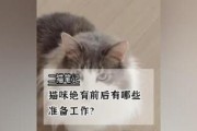 猫咪绝育的注意事项（全面了解猫咪绝育攻略，宠物健康保障）