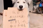 狗为什么喜欢吃大便？（了解狗喜欢吃大便的原因及如何解决这个问题）