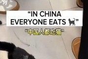 猫咪为什么不想食？（探究猫咪食欲不振的原因及应对之道）