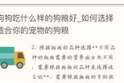 如何选择适合狗狗的饮食？（狗狗饮食的关键是什么？）