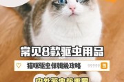 猫咪需要驱虫的6个信号，宠主要知道，省掉不必要的麻烦！（为了猫咪的健康，别忽视这6个信号！）