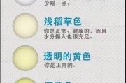 揭秘尿液的颜色变化与健康状况（尿液颜色的意义及与健康的关联）