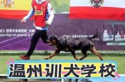成都的犬舍乐园（探索成都犬舍文化，发现宠物与主人的幸福乐园）