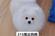 幼狗饮食指南（为你的小狗提供健康均衡的饮食）
