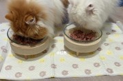 宠物猫吃李子，到底好不好？（猫咪是否能够消化李子？注意事项分享！）