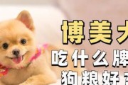 博美喜欢吃的水果（探索博美喜欢的水果种类与好处）
