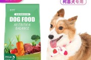 如何为你的柯基犬补充足够的钙质（钙缺乏症状及常见食物推荐）