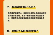 狗狗的排便次数与身体健康的关系（通过排便情况判断狗狗的食量是否适当）