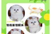 金吉拉尾巴的特征及其神秘之处（解读金吉拉尾巴的形态、功能和起源）