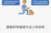 治疗狗身上脓样症状的药物及方法（探索有效治疗狗身上脓样症状的药物和护理方法）