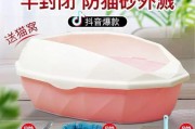 猫咪排便习惯揭秘（探究猫咪排便的时间、频率及健康问题）