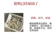 如何有效去除被子上的猫尿？（简单有效的清洁方法，让您的被子恢复清新如初）