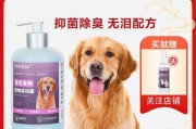 小狗除螨虫，选择正确的药物很重要（给宠物选择合适的除螨药物，呵护它们的健康）