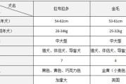 拉布拉多的标准体重及相关知识（拉布拉多犬的理想体重和健康管理）