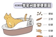 猫咪便便大揭秘（从颜色到质地，猫咪便便的那些事儿让你大开眼界）