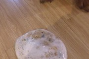 金毛50天吃什么吐什么药？（探究金毛犬每天饮食与药物的关系）