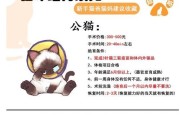 母猫绝育后多久可以洗澡（保护母猫健康的正确洗澡时间表）