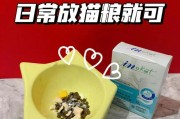 如何帮助小猫解决软便问题（科学饮食调整是关键）