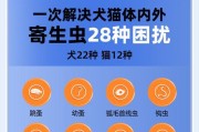 猫外驱虫后跳蚤死亡时间解析（揭秘猫外驱虫后跳蚤死亡的时间及相关因素）