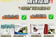 狗食与寄生虫（狗类寄生虫感染的危害和如何预防）