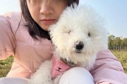 剃胎毛（以胎毛是什么？剃胎毛能让狗狗的毛发更好吗？）