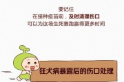 宠物犬疫苗注射注意事项（保障宠物健康，从疫苗注射开始）