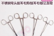 探秘如何正确拔除狗狗耳毛（选择合适工具，呵护宠物耳朵的健康）
