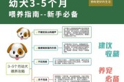 贝灵顿梗幼犬喂食要点（幼犬喂养需要特别注意）