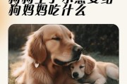 狗狗分娩需要的等待时间（从受孕到分娩，了解狗狗的生育过程）