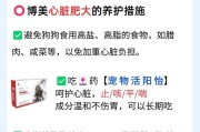 狗狗不适？教你应急处理！——博美狗呼吸急促怎么办