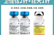 如何确保幼犬健康？幼犬狂犬病疫苗什么时候打？（打破迷思，了解正确接种时间）