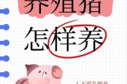荷兰猪为何一直叫？（探究荷兰猪不断叫唤的原因与解决方法）