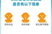 成犬体外驱虫后适合洗澡的时间（洗澡前后需注意的事项及洗澡频率）