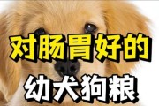 20天幼犬的合适饮食选择（为宝宝犬提供营养均衡的食物）