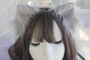探秘猫耳边上的神奇之谜（揭开猫耳边上的秘密，究竟隐藏了什么？）