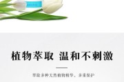 泰迪除耳垢的时间及方法探究（探索泰迪除耳垢的最佳频率和技巧）