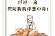 狗狗不能吃的食物及其危害（狗狗不能舔葱的原因及相关注意事项）