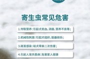 狗狗驱虫（探讨狗狗驱虫的见效时间以及驱虫时需注意的事项）