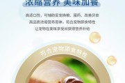 狗狗怀孕需要的补充措施（了解狗狗怀孕的关键是健康饮食）