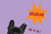 以斗牛拉屎臭的原因及解决方法（探究斗牛拉屎臭的原因，并提出有效的解决方法）