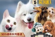 泰迪狗狗的沐浴露选择指南（为你的宠物提供最佳的沐浴体验，从正确的沐浴露开始）